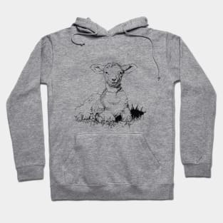 Lamb Ink Drawing Hoodie